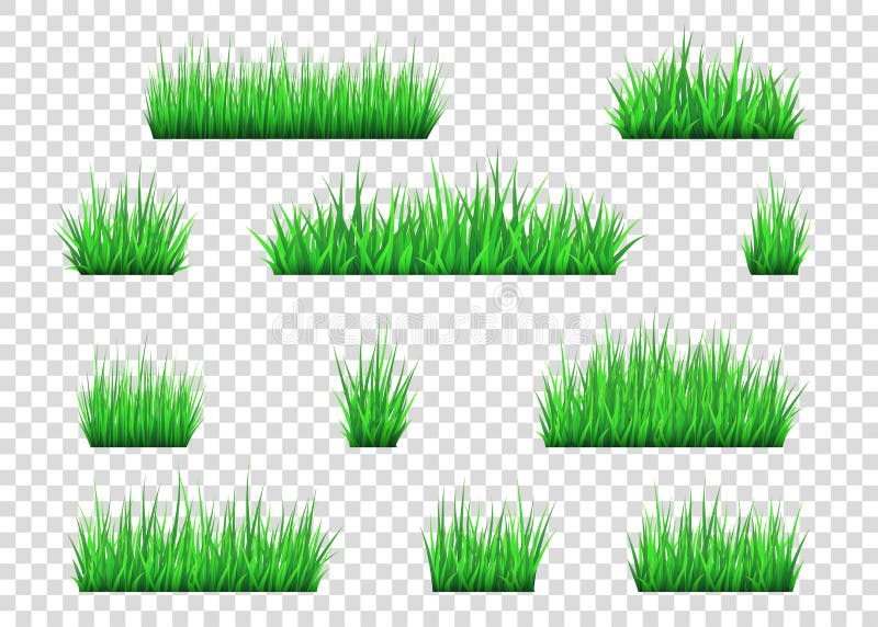 Grama verde e arbustos isolados no fundo transparente ilustração royalty free Grama verde e arbustos isolados no fundo transparente ilustração royalty free