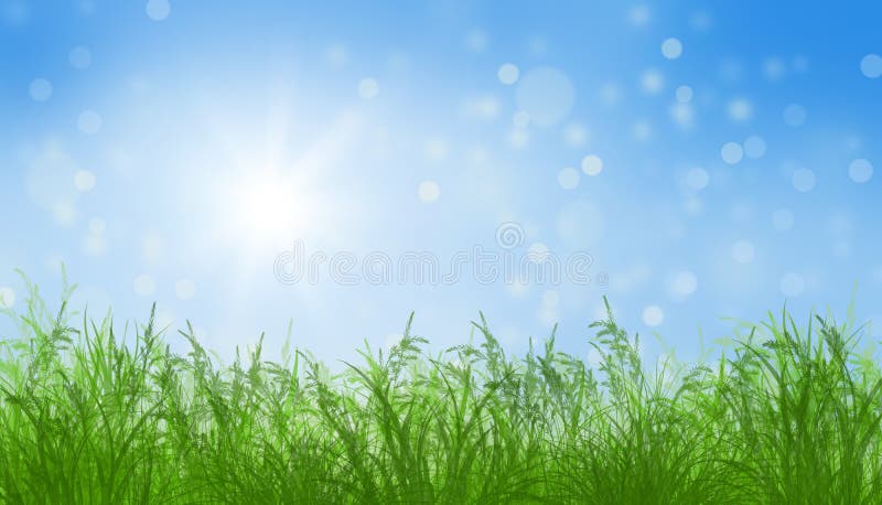 Green grass and blue sunny sky spring landscape. Perfect for backgrounds. Green grass and blue sunny sky spring landscape. Perfect for backgrounds