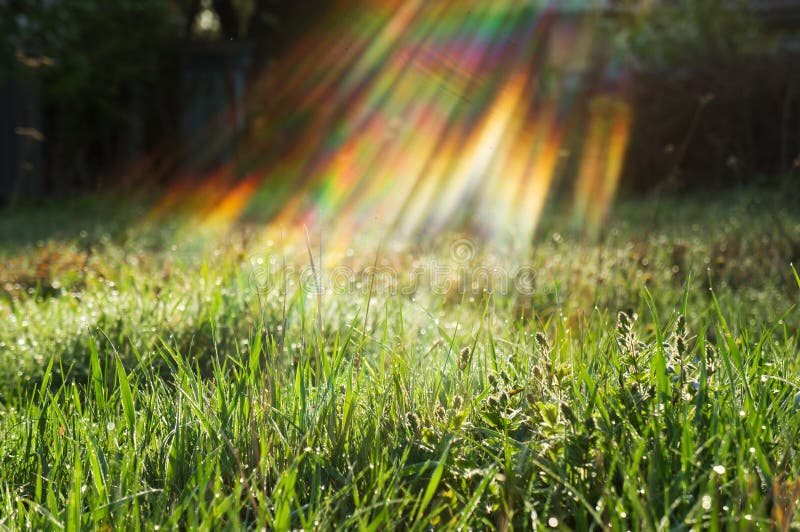 Grama verde e sol, conceito da proteção ambiental foto de stock Grama verde e sol, conceito da proteção ambiental foto de stock