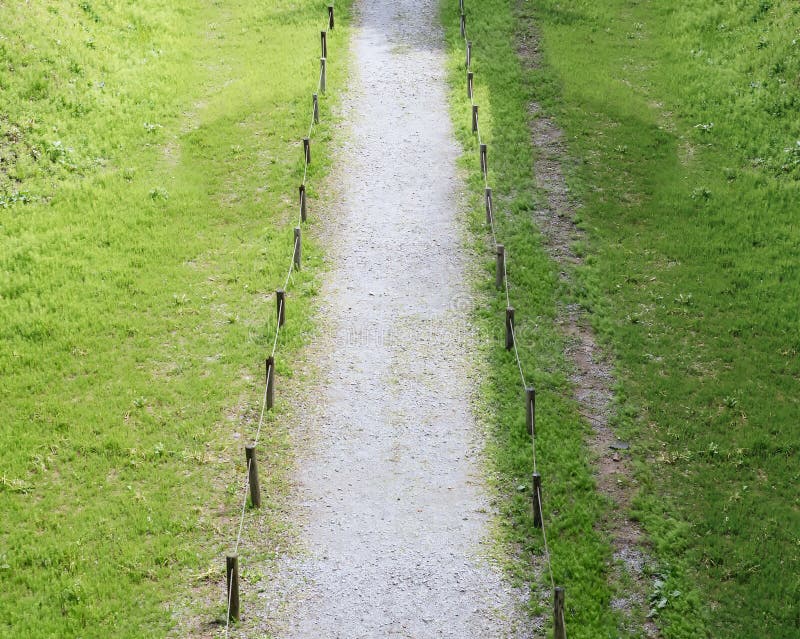 Grama verde exterior do parque da passagem com caminho fotografia de stock royalty free