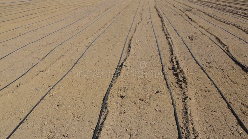 Gran campo de riego listo para siembra en primavera. tierras agrícolas preparadas para la siembra. campo recién arado. suelo marró
