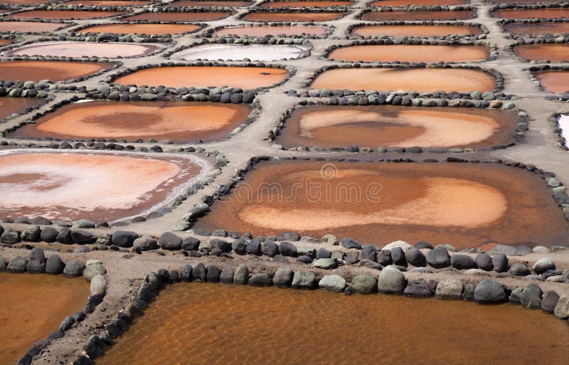 Gran Canaria, Salt evaporation ponds Salinas de Tenefe, south east of the island, pink color created by algae Dunaliella salina. Gran Canaria, Salt evaporation ponds Salinas de Tenefe, south east of the island, pink color created by algae Dunaliella salina