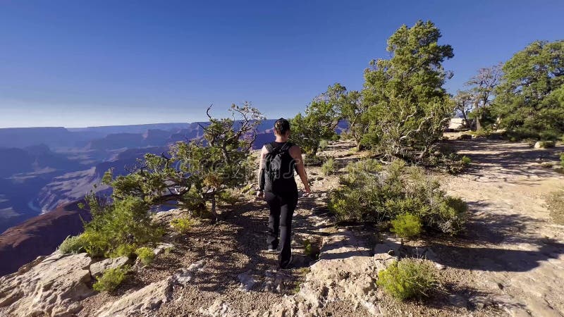 Gran cañón de los estados unidos. una mujer camina por un sendero rocoso que domina el majestuoso cañón y el río colorado. perfect almacen de video