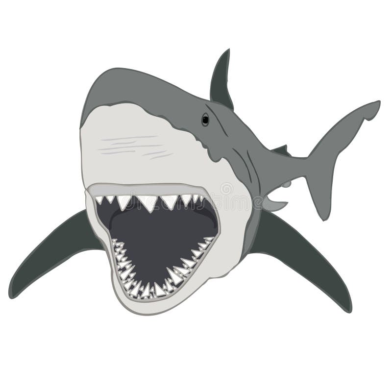 Gran ejemplo del tiburón blanco, mandíbulas del tiburón