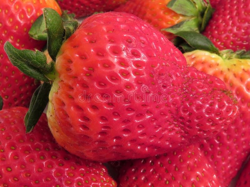 Gran fruta fresca rosa de fresa imagen de archivo