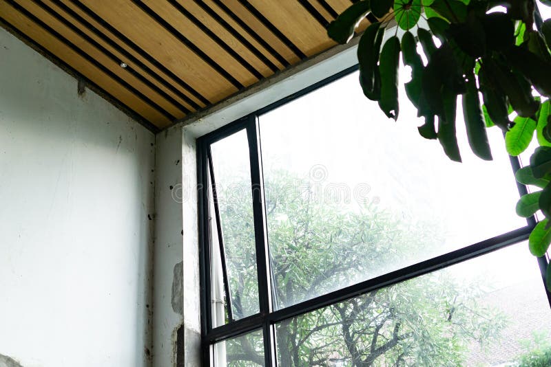 Gran Ventana Y Techo De Madera Con Plantas De árboles Interiores Imagen de  archivo - Imagen de textura, ciudad: 227413581