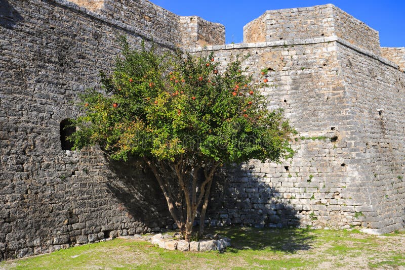 Granaatboom nabij het kasteel van porto palermo