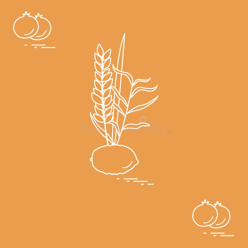 Granada y Lulav - cualidad simbólica del día de fiesta de Suk ilustración del vector Granada y Lulav - cualidad simbólica del día de fiesta de Suk ilustración del vector