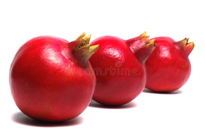 granatowiec zdjęcia stock granatowiec zdjęcia stock