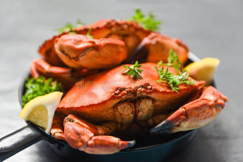 Granchio cucinato sullo stufato di castrato e sul fondo scuro - i frutti di mare hanno bollito i granchi di pietra rossi immagini stock libere da diritti Granchio cucinato sullo stufato di castrato e sul fondo scuro - i frutti di mare hanno bollito i granchi di pietra rossi immagini stock libere da diritti