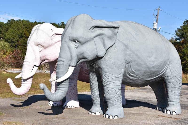 Thelma and Louise Big Al and Lizzy Elephants at Papa Joes Fireworks in Hardeeville, South Carolina USA. Thelma and Louise Big Al and Lizzy Elephants at Papa Joes Fireworks in Hardeeville, South Carolina USA
