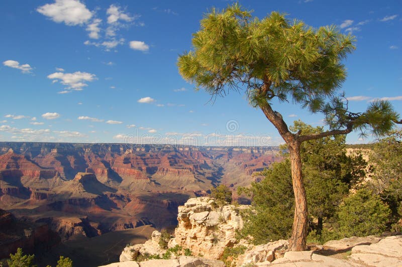 Grand canyon