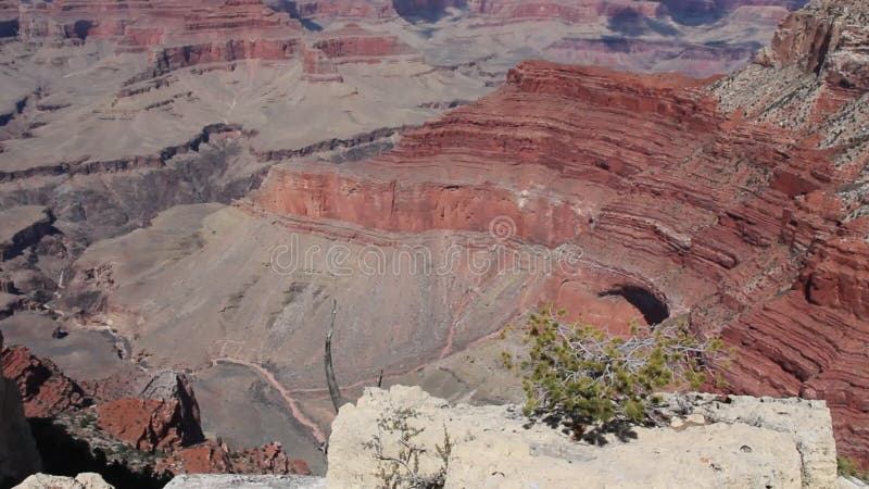 Grand Canyon almacen de metraje de vídeo