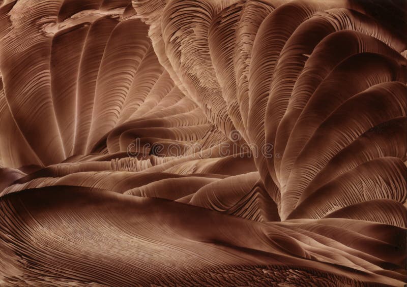 Grand Canyon Cavern