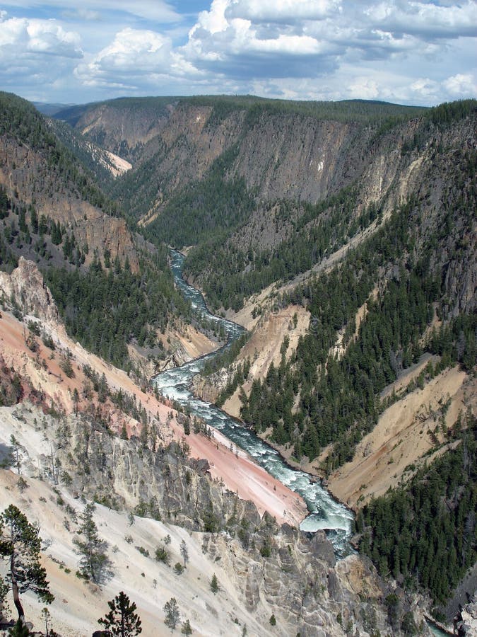 Grand Canyon del Yellowstone fotografia stock Grand Canyon del Yellowstone fotografia stock