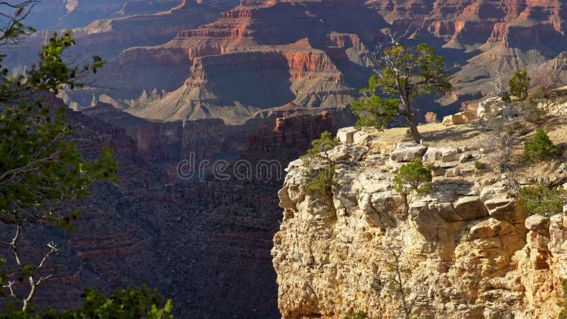 Grand canyon national park estados unidos. zoom almacen de video