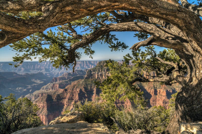 Grand Canyon, north rim