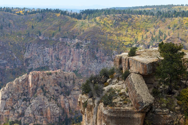 Grand Canyon, north rim