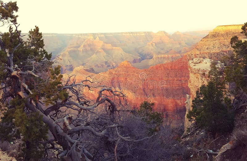 Grand Canyon, paysage de l'Arizona photographie stock Grand Canyon, paysage de l'Arizona photographie stock