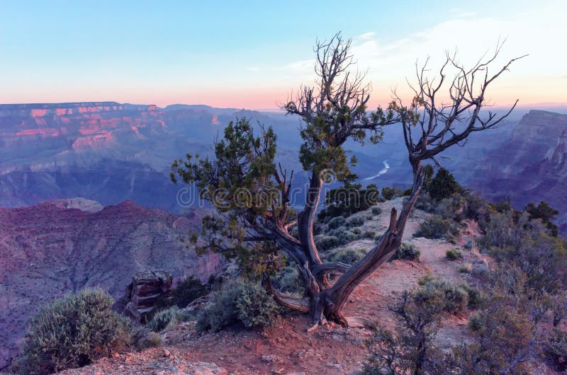 Grand Canyon Sunrise