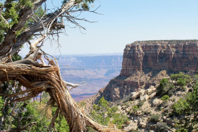 Grand Canyon View stock photos Grand Canyon View stock photos