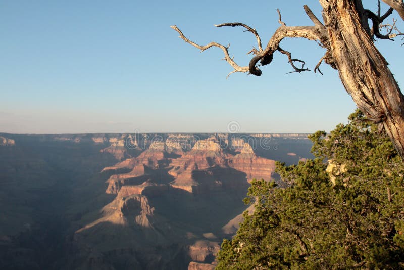 Grand Canyon - View from the south rim