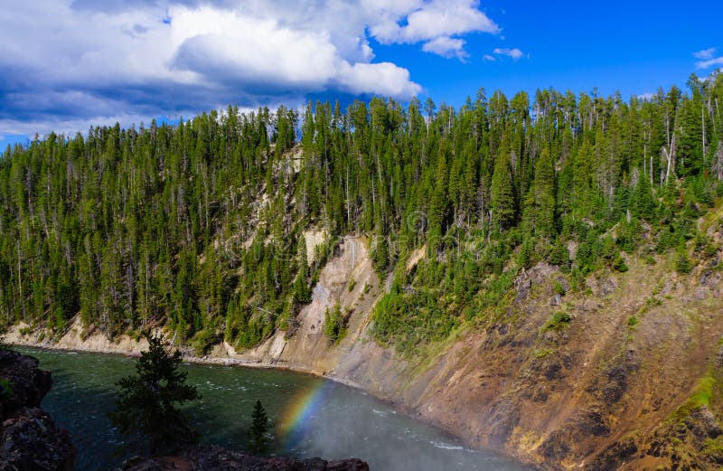 Grand canyon of yellow stone national park