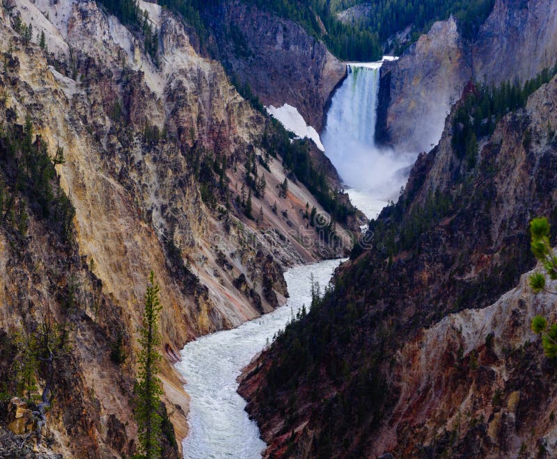 Grand canyon of yellow stone national park