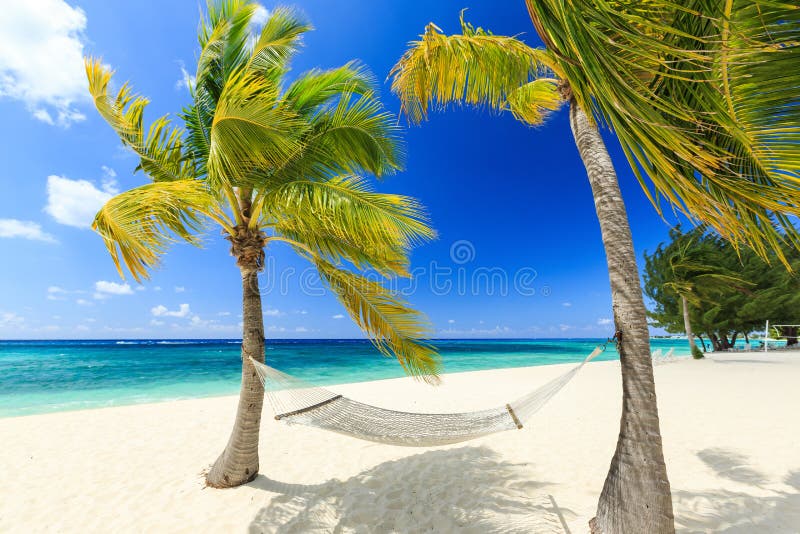 Grand Cayman, Isole Cayman immagine stock libera da diritti Grand Cayman, Isole Cayman immagine stock libera da diritti