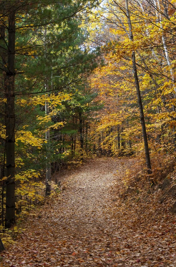GrandCoteau Park, Mascouche, Quebec, Canada in Fall Stock Photo
