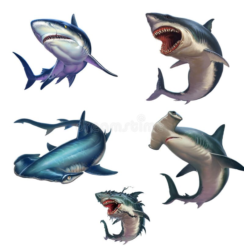 Big set of sharks isolated realistic illustration. Great White Shark. Gray reef shark. Hammerhead shark. Big Monster Shark. Big set of sharks isolated realistic illustration. Great White Shark. Gray reef shark. Hammerhead shark. Big Monster Shark