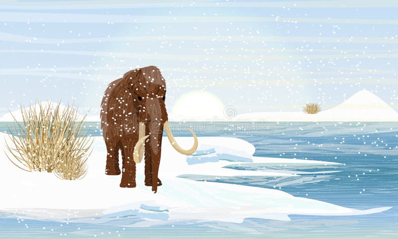 Grand mammouth laineux sur la banque d'une rivière de congélation Animaux de préhistoire Période glaciaire illustration stock