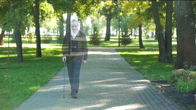 Mature grandfather walking in park and disappearing, death concept, loss, stock photo. Mature grandfather walking in park and disappearing, death concept, loss, stock photo