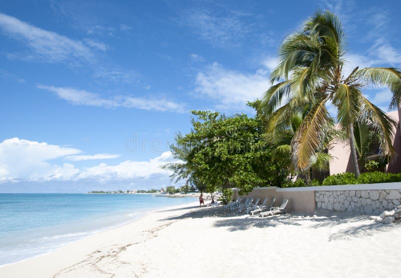 Grand Turk Island Cockburn Town Beach Stock Image Image Of Tree