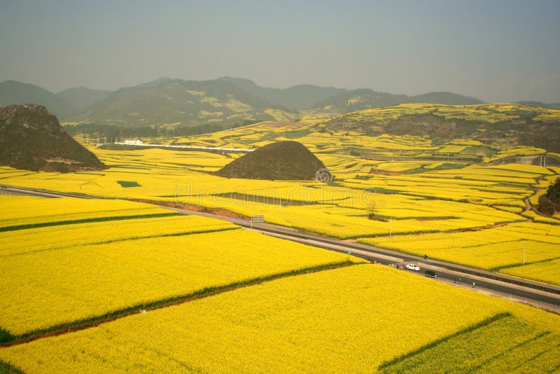 Grand view of fields with hills