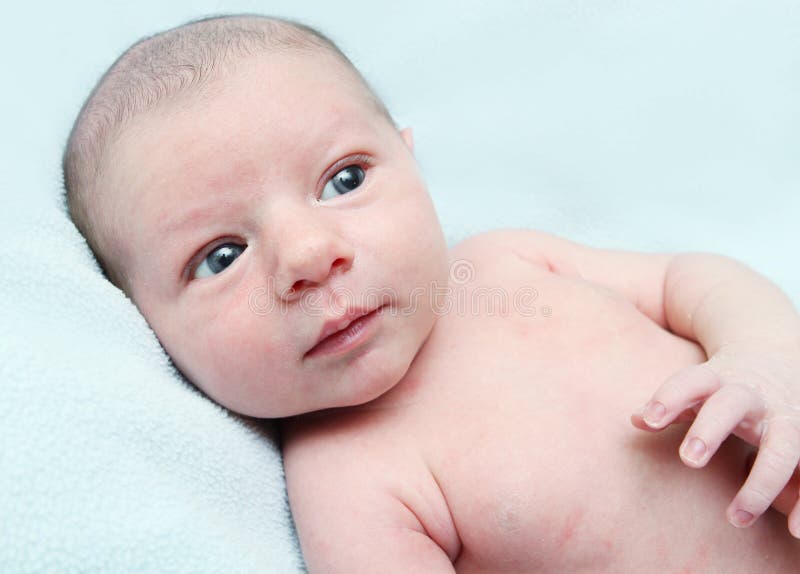 Grande Bambino Osservato Blu Curioso Osservato Pacifico Immagine Stock Immagine Di Ragazza Eyed