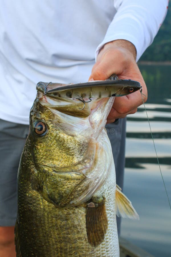 Grande bouche Bass Topwater Lure Fishing