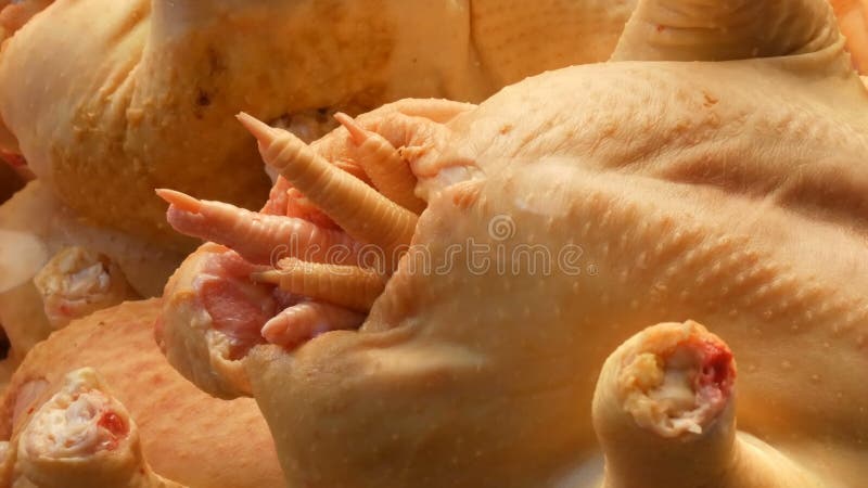 Grande carcassa del pollo sulla finestra o sul contatore di macelleria