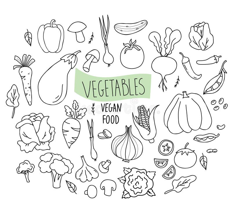 Conjunto de ilustrações vetoriais de vegetais, coleção de vegetais