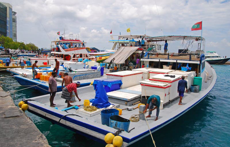 Large Fishing Vessel docking at Male Maldives with Fishermen working onboard. Large Fishing Vessel docking at Male Maldives with Fishermen working onboard