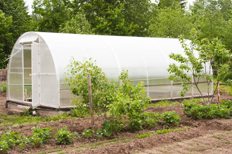 Large hothouse for growing of vegetables in a garden. Large hothouse for growing of vegetables in a garden