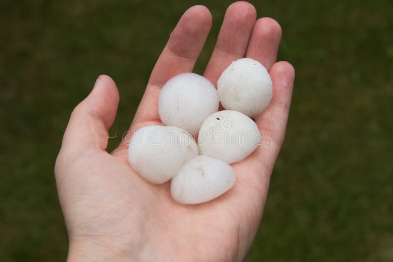 Big Hail after summer storm. Big Hail after summer storm