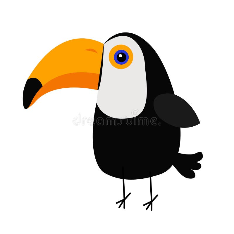 Toco De Ramphastos De Toucan De Toco De Bande Dessinee D Isolement Sur Le Fond Blanc Illustration De Vecteur Illustration Du Couleur Element Toco De Ramphastos De Toucan De Toco De Bande Dessinee D Isolement Sur Le Fond Blanc Illustration De Vecteur Illustration Du Couleur Element