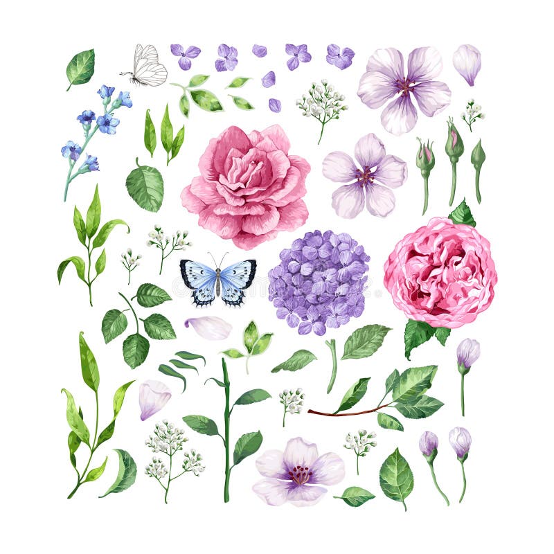 Grande insieme delle rose dei fiori, dell'ortensia, dei fiori di melo, delle foglie, dei petali e delle farfalle isolati su fondo illustrazione di stock