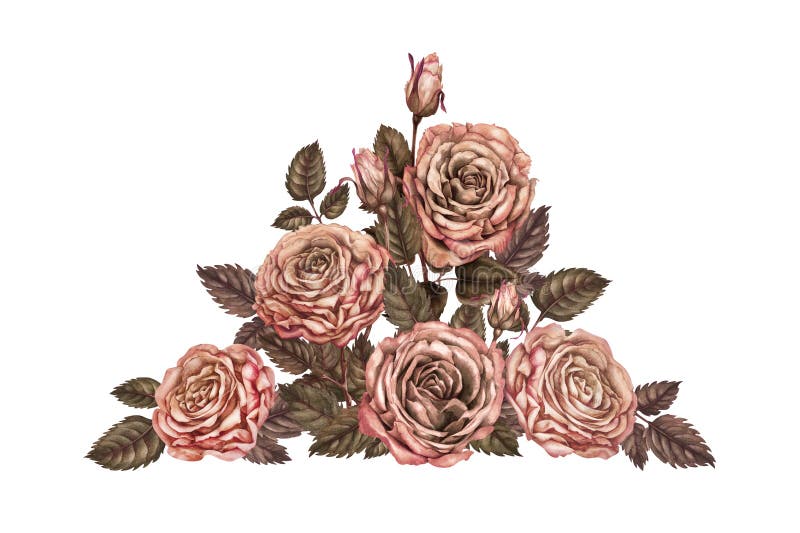 Grande mazzo di rose con colori color marrone rosato in una mochamousse alla moda. modello botanico per illustrazione di stock