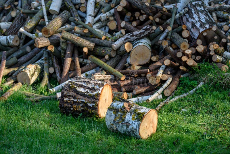 grande mucchio dei ceppi freschi di legno del fuoco fotografie stock libere da diritti grande mucchio dei ceppi freschi di legno del fuoco fotografie stock libere da diritti