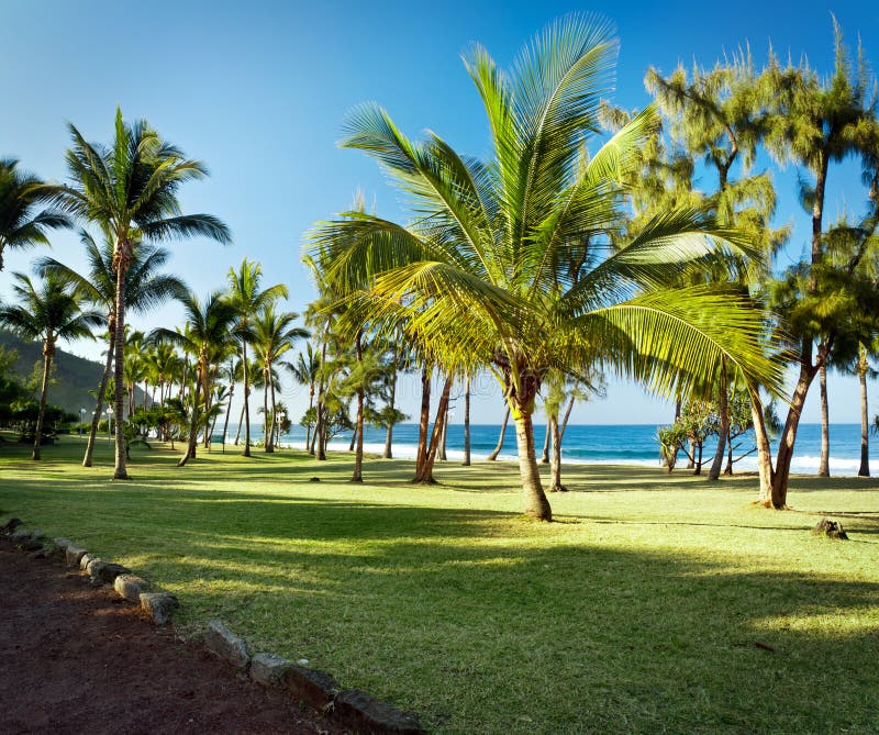 Grande Spiaggia Di Anse, Reunion Island Immagine Stock Immagine di scenico, frondoso 21182303