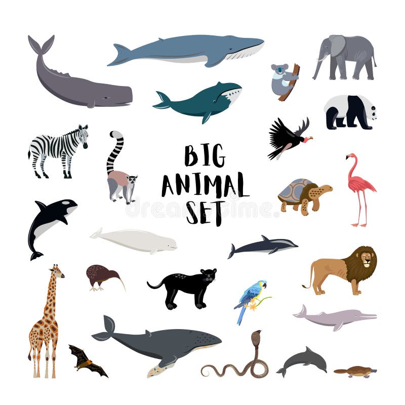 Grandes Dibujos Animados De Diferentes Animales, Aves, Ballenas, Delfines  Ilustración del Vector - Ilustración de fauna, loro: 151060556