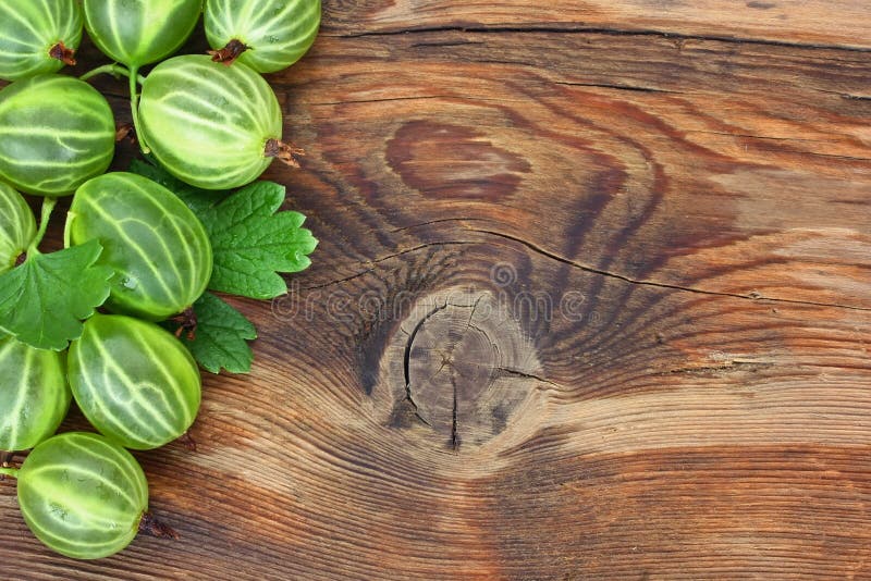 Grandes groselhas verdes maduras foto de stock royalty free