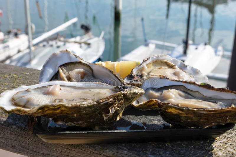 Grandes ostras frescas al fondo de un aparcamiento en yate en la ciudad belga de Ostend. Mariscos. Desayuno mientras viaja foto de archivo
